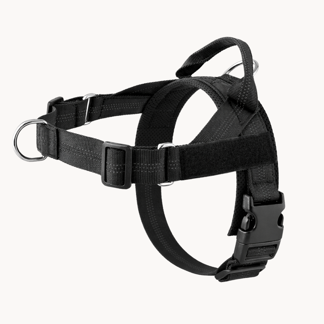 No Pull Dog Harness