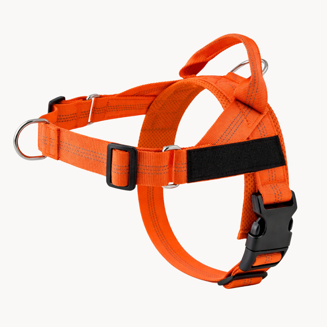 No Pull Dog Harness