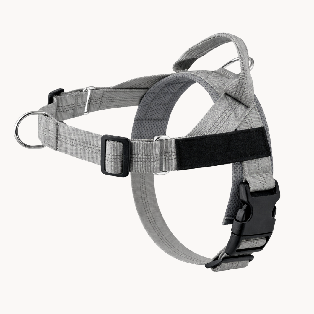 No Pull Dog Harness