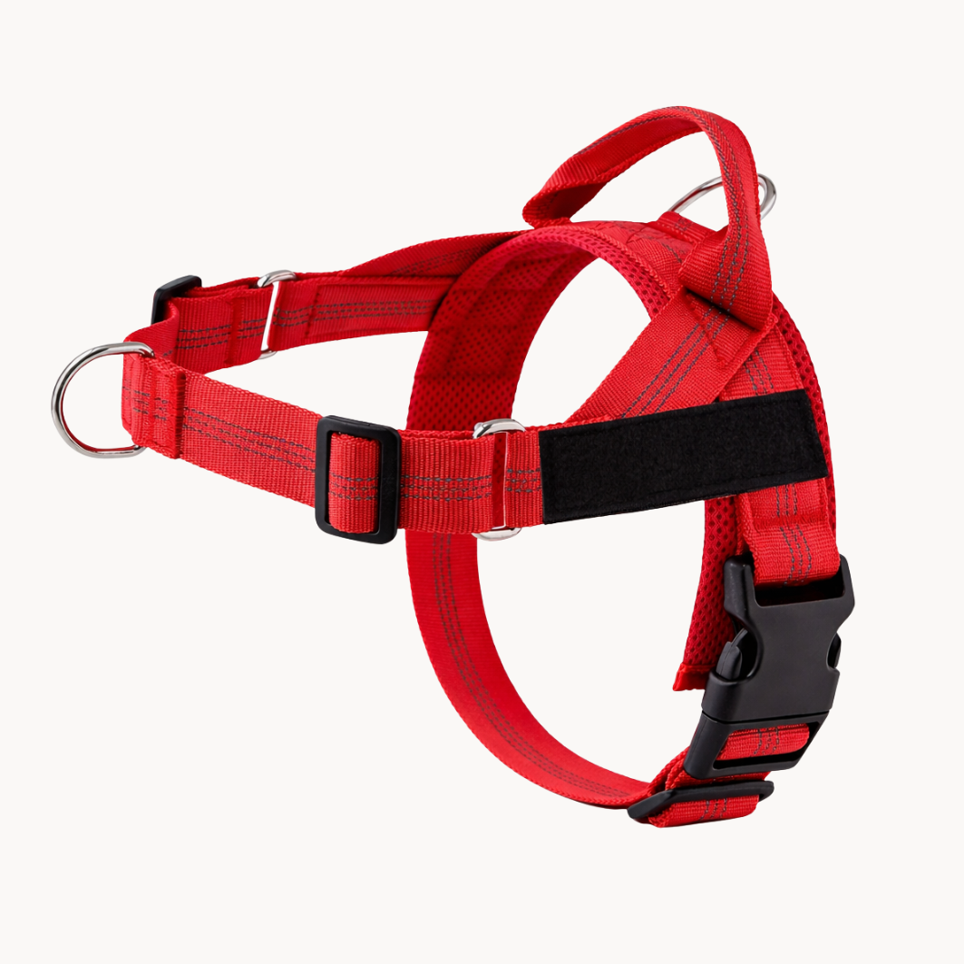 No Pull Dog Harness