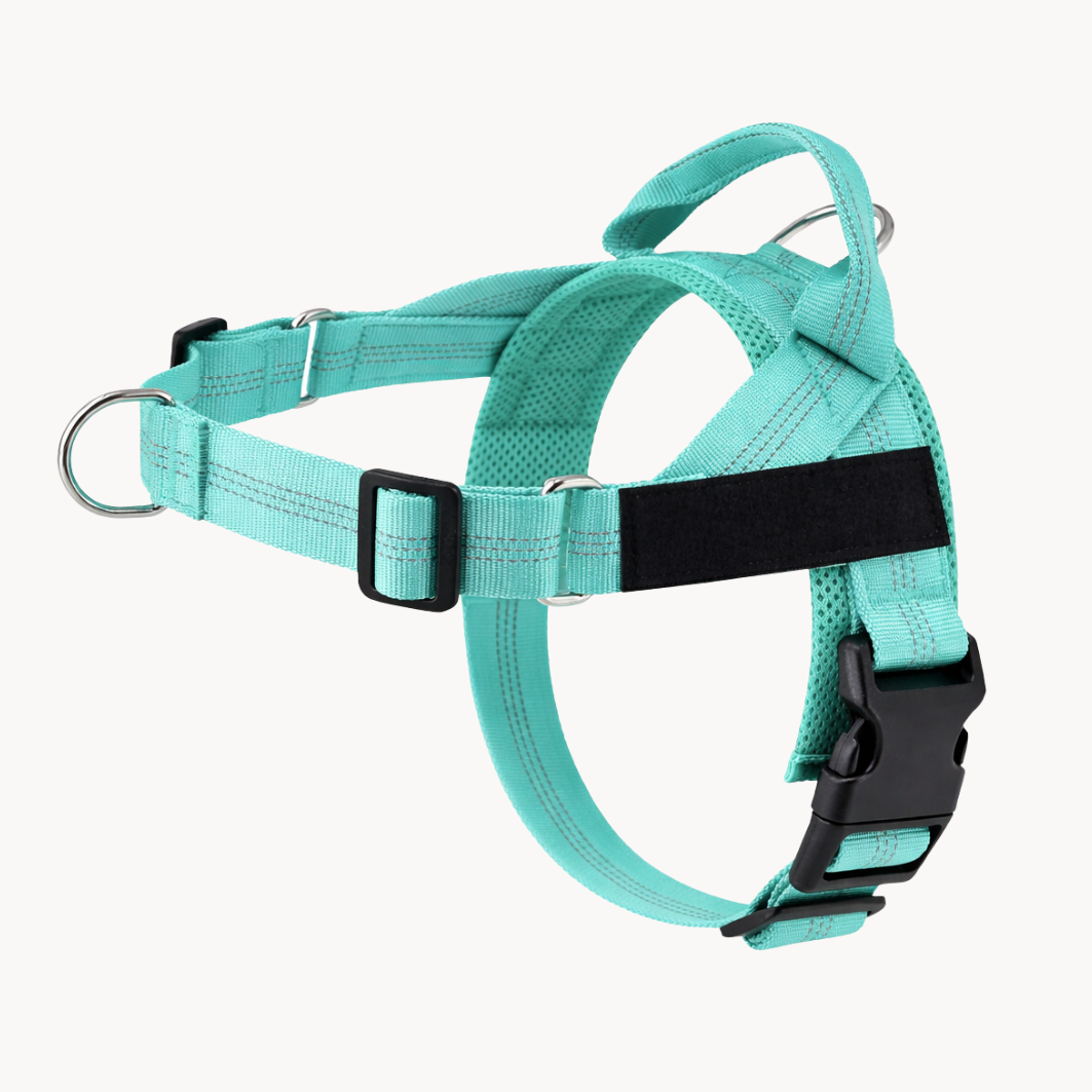 No Pull Dog Harness