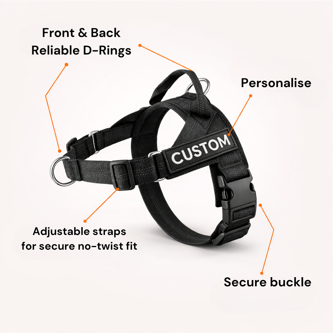 No Pull Dog Harness