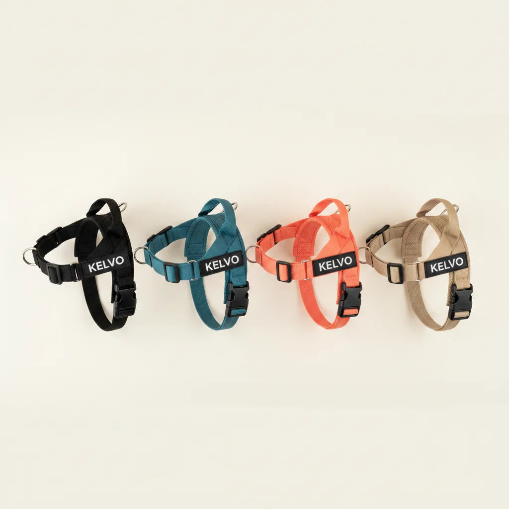 No Pull Dog Harness